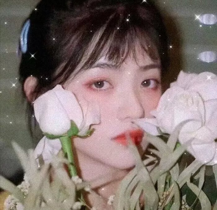 南极物语